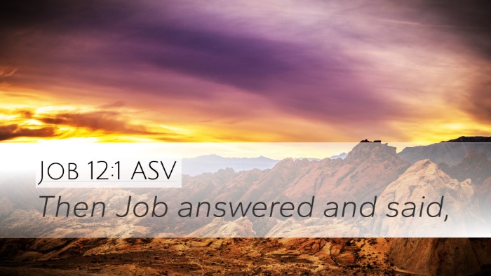 Job 12:1 ASV Desktop Wallpaper - Then Job answered and - Desktop Bible Verse Wallpaper