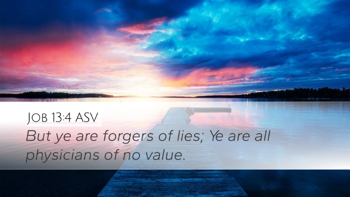 Job 13:4 ASV Bible Verse Image