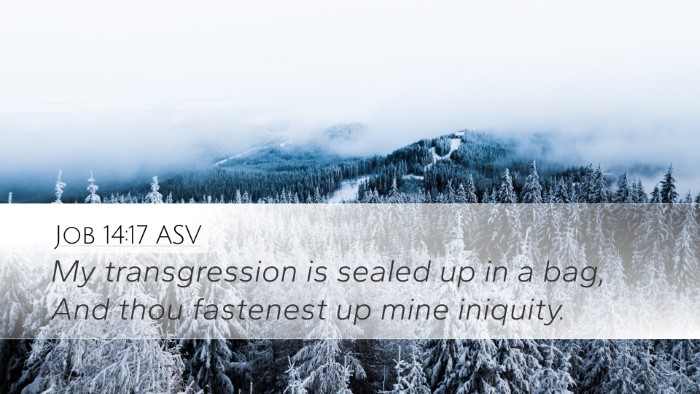 Job 14:17 ASV Bible Verse Image
