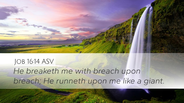 Job 16:14 ASV Desktop Wallpaper - He breaketh me with breach upon breach; He - Desktop Bible Verse Wallpaper