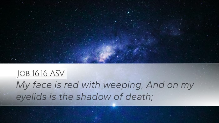 Job 16:16 ASV Bible Verse Image