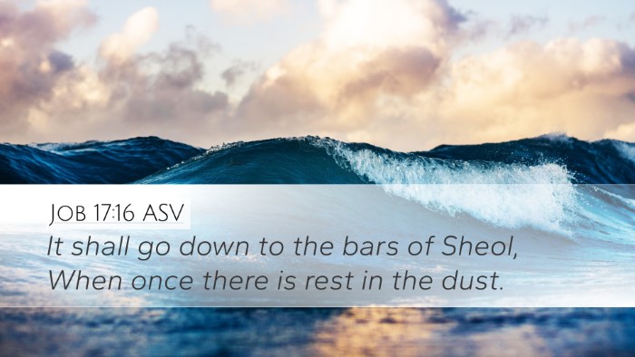 Job 17:16 ASV Bible Verse Image