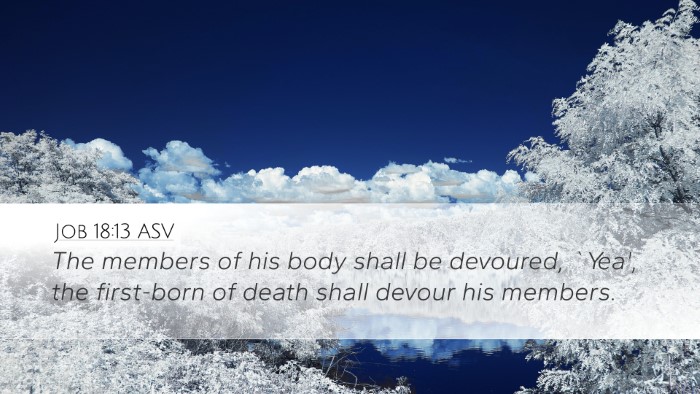 Job 18:13 ASV Bible Verse Image