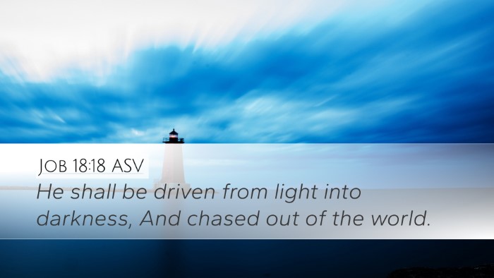 Job 18:18 ASV Bible Verse Image