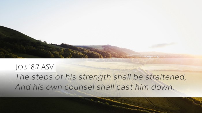Job 18:7 ASV Bible Verse Image