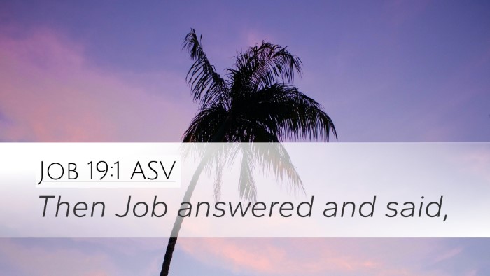 Job 19:1 ASV Desktop Wallpaper - Then Job answered and - Desktop Bible Verse Wallpaper