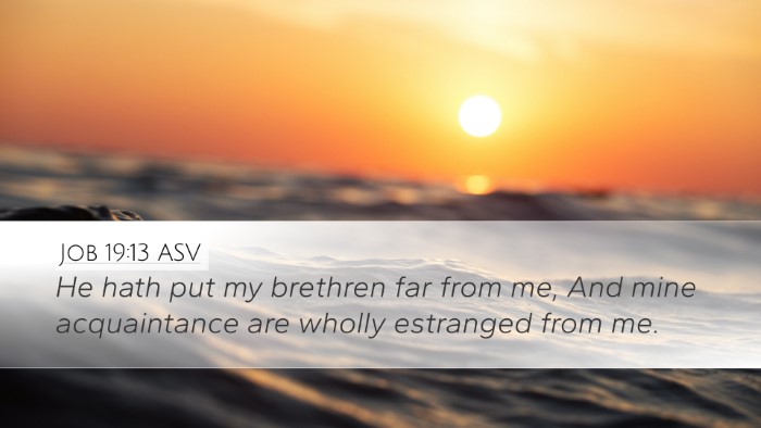 Job 19:13 ASV Bible Verse Image