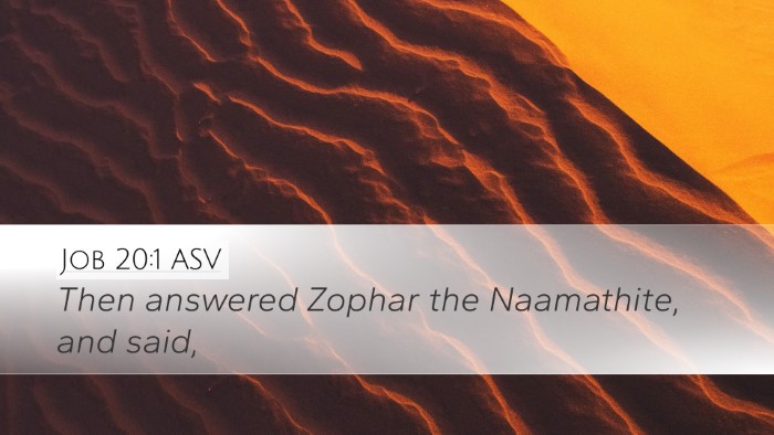 Job 20:1 ASV Bible Verse Image