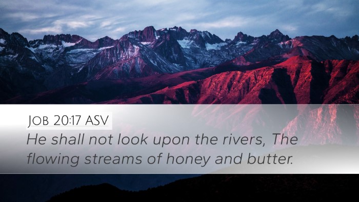 Job 20:17 ASV Bible Verse Image