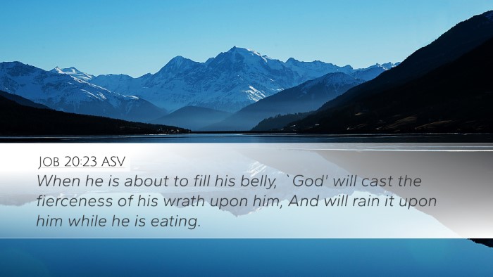 Job 20:23 ASV Bible Verse Image