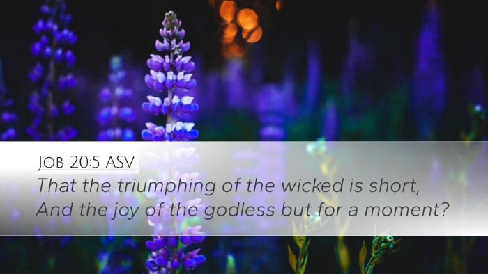Job 20:5 ASV Bible Verse Image
