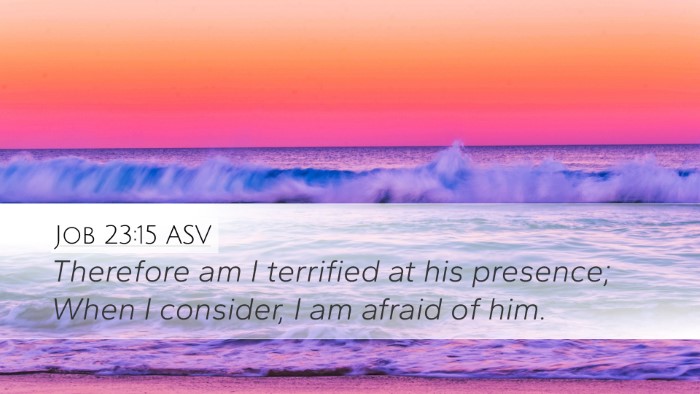 Job 23:15 ASV Bible Verse Image
