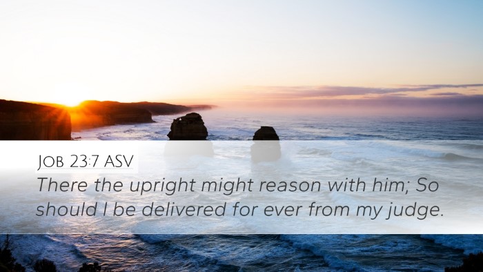 Job 23:7 ASV Bible Verse Image