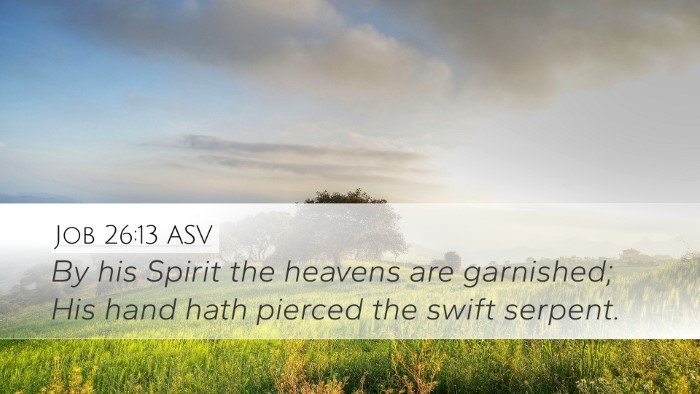 Job 26:13 ASV Bible Verse Image