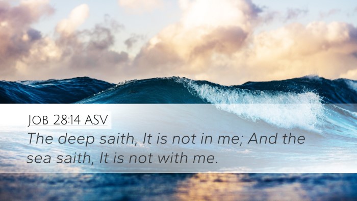 Job 28:14 ASV Bible Verse Image