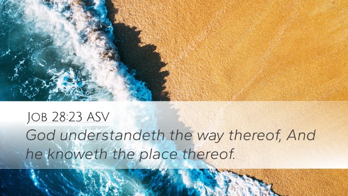 Job 28:23 ASV Bible Verse Image