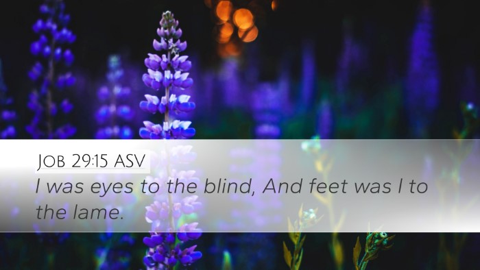 Job 29:15 ASV Bible Verse Image