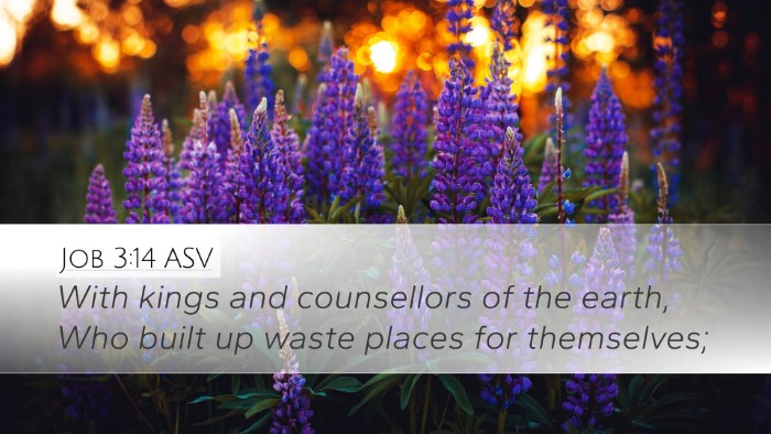 Job 3:14 ASV Bible Verse Image