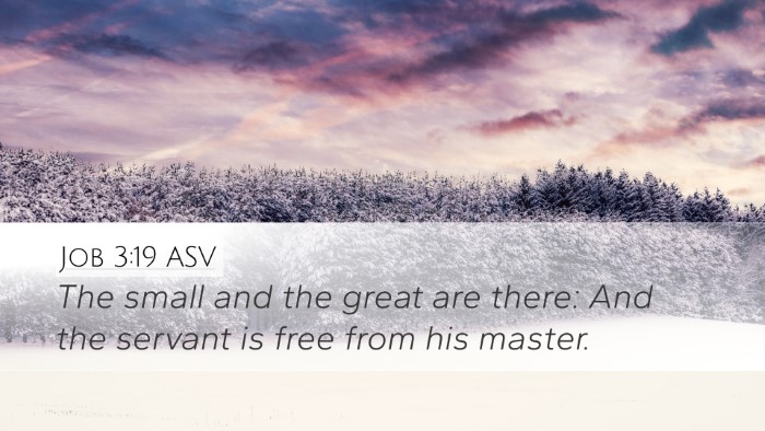 Job 3:19 ASV Bible Verse Image