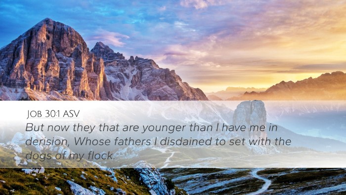 Job 30:1 ASV Bible Verse Image