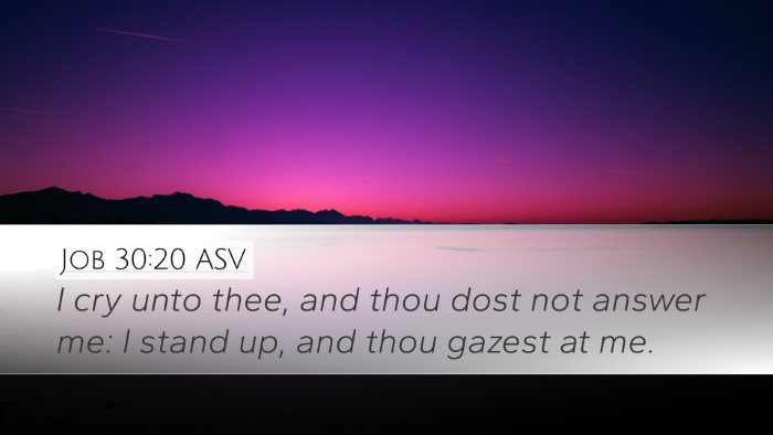 Job 30:20 ASV Bible Verse Image