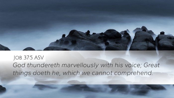 Job 37:5 ASV Bible Verse Image