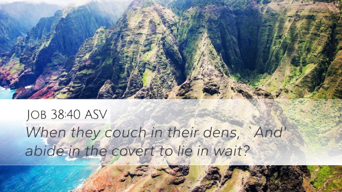 Job 38:40 ASV Desktop Wallpaper - When they couch in their dens, `And' abide in the - Desktop Bible Verse Wallpaper