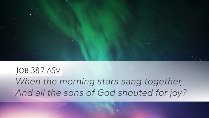 Job 38:7 ASV Bible Verse Image