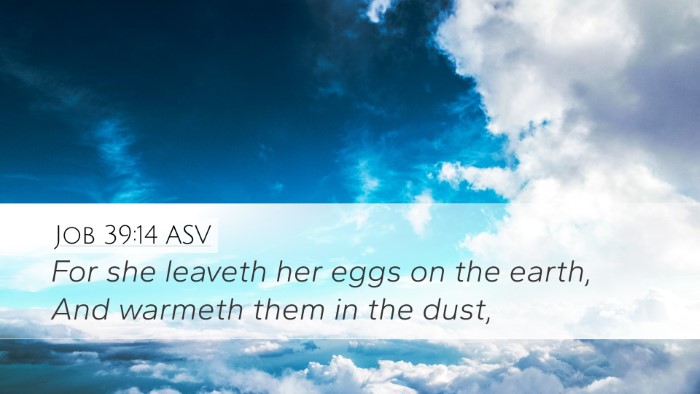 Job 39:14 ASV Desktop Wallpaper - For she leaveth her eggs on the earth, And - Desktop Bible Verse Wallpaper