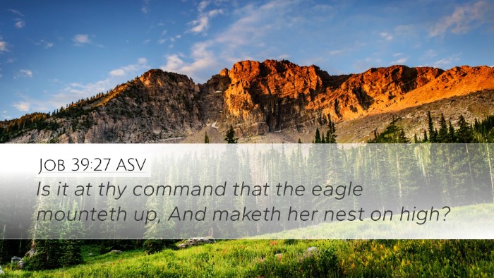 Job 39:27 ASV Bible Verse Image