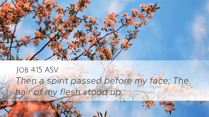 Job 4:15 ASV Desktop Wallpaper - Then a spirit passed before my face; The hair of - Desktop Bible Verse Wallpaper