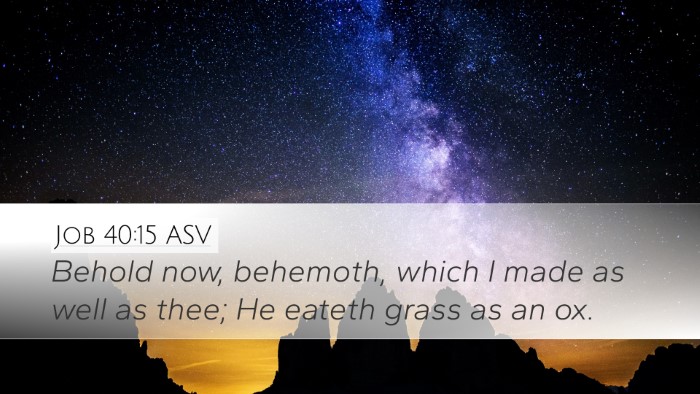 Job 40:15 ASV Bible Verse Image