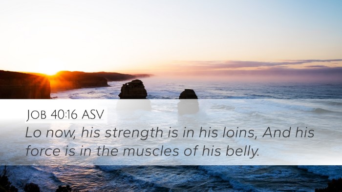 Job 40:16 ASV Bible Verse Image