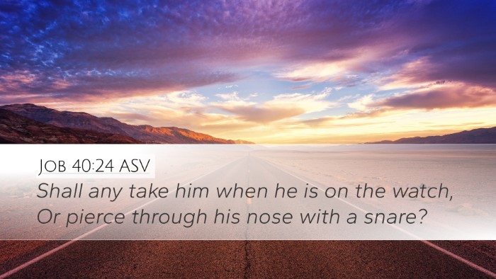 Job 40:24 ASV Desktop Wallpaper - Shall any take him when he is on the watch, Or - Desktop Bible Verse Wallpaper