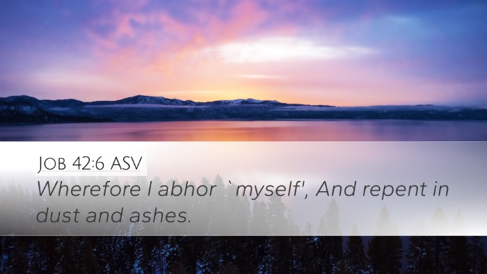 Job 42:6 ASV Bible Verse Image