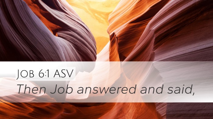 Job 6:1 ASV Bible Verse Image