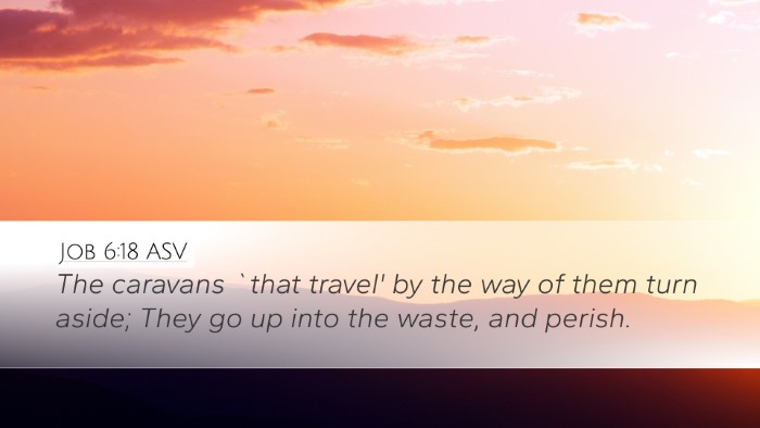 Job 6:18 ASV Desktop Wallpaper - The caravans `that travel' by the way of them - Desktop Bible Verse Wallpaper