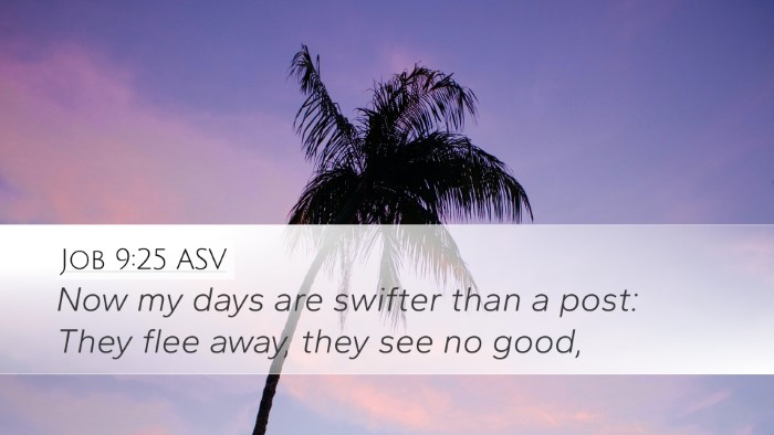 Job 9:25 ASV Bible Verse Image