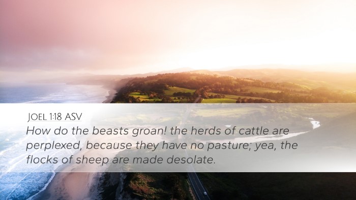 Joel 1:18 ASV Bible Verse Image