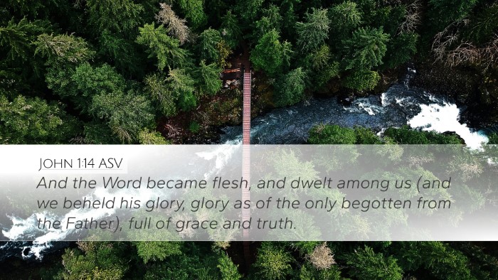 John 1:14 ASV Bible Verse Image