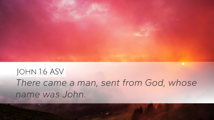 John 1:6 ASV Bible Verse Image