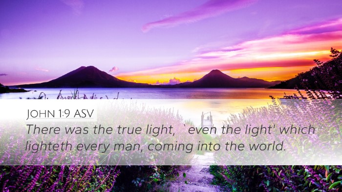 John 1:9 ASV Bible Verse Image