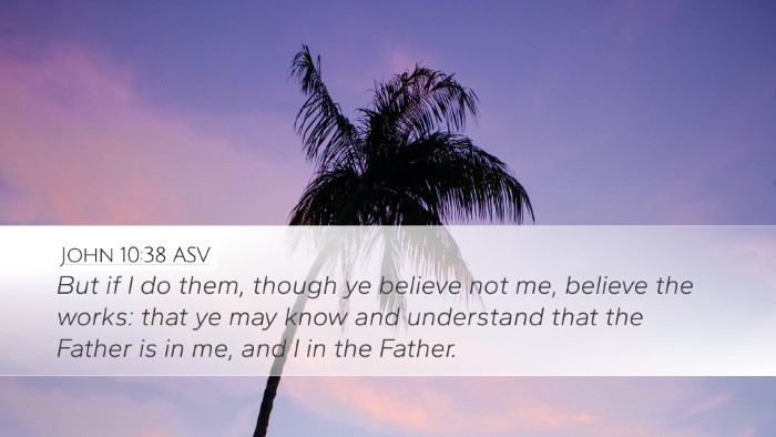 John 10:38 ASV Bible Verse Image