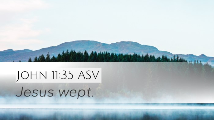 John 11:35 ASV Bible Verse Image