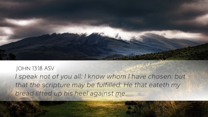 John 13:18 ASV Bible Verse Image