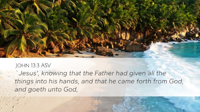 John 13:3 ASV Bible Verse Image