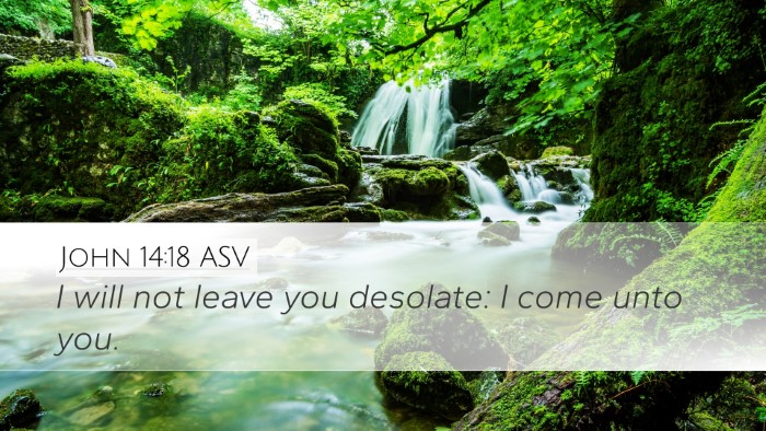 John 14:18 ASV Bible Verse Image
