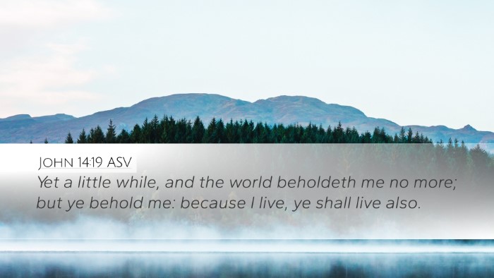 John 14:19 ASV Bible Verse Image