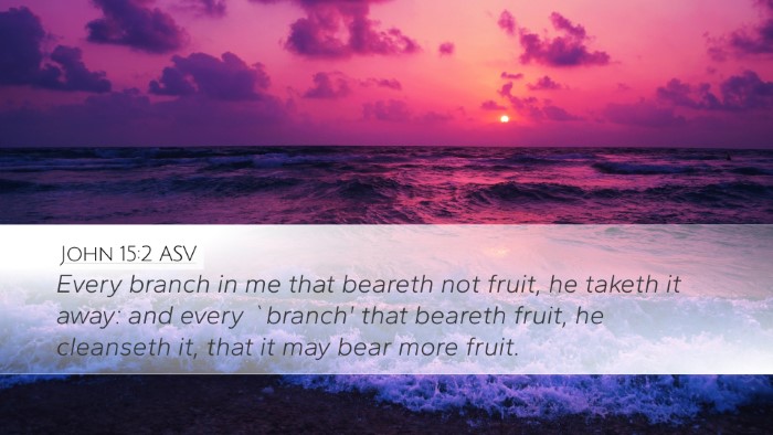 John 15:2 ASV Bible Verse Image