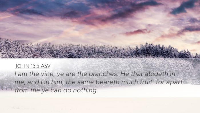 John 15:5 ASV Bible Verse Image